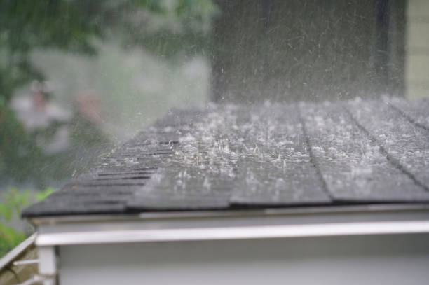 Best Gutter Replacement  in Sparta, WI