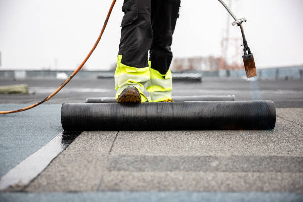 Best Roof Moss and Algae Removal  in Sparta, WI
